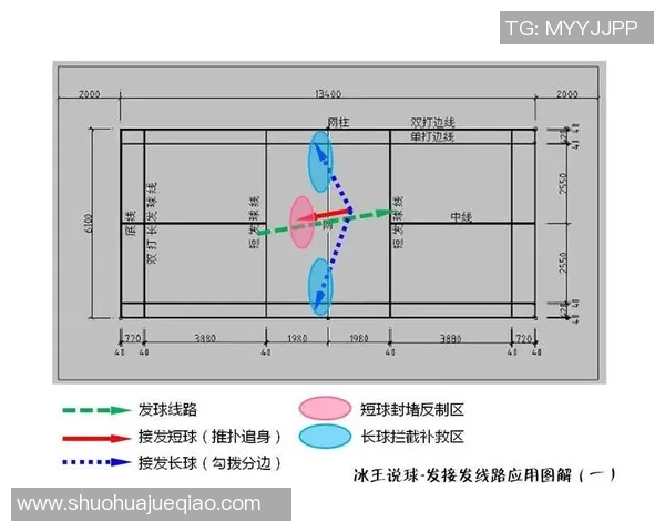 深圳羽毛球队整体压制战术解析与实战应用探讨 深圳羽毛球队整体压制战术解析与实战应用探讨