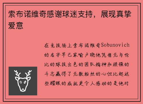 索布诺维奇感谢球迷支持，展现真挚爱意